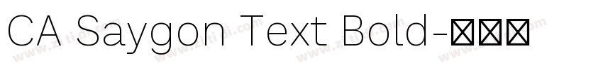 CA Saygon Text Bold字体转换